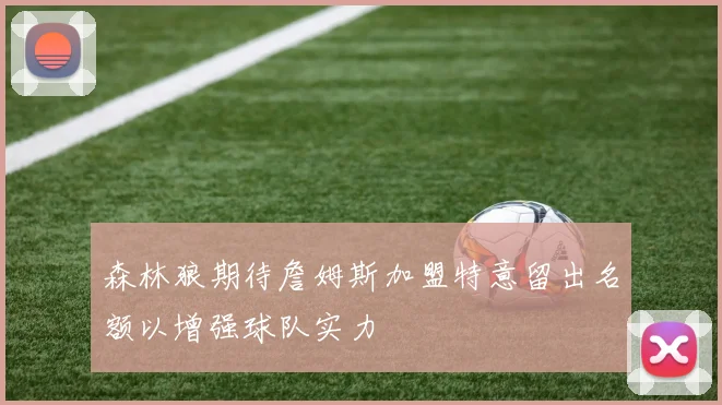 森林狼期待詹姆斯加盟特意留出名额以增强球队实力